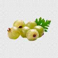 PSD gooseberry isolated on white