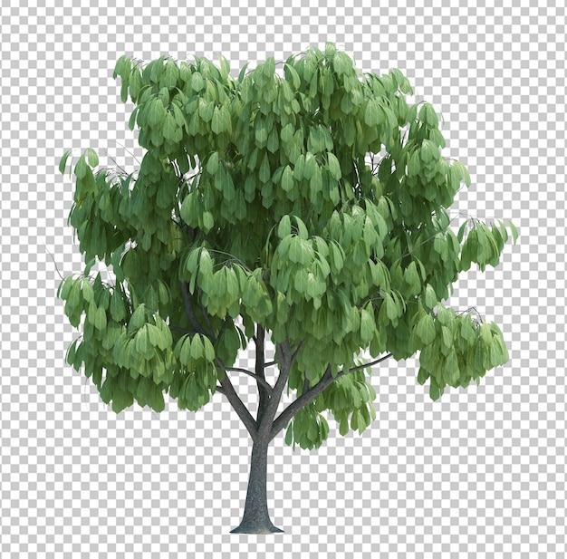 PSD gorgeously detailed tree isolated