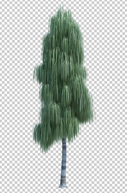 PSD gorgeously detailed tree isolated