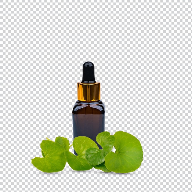 Gotu kola centella asiatica extract in amberkleurige fles met verse bladeren geïsoleerd op een witte achtergrond Premium psd.