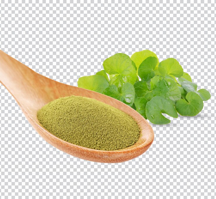 Gotu kola, wąkrota azjatycka, wąkrota azjatycka, ajurweda ziołolecznictwo w łyżce drewnianej Premium psd.