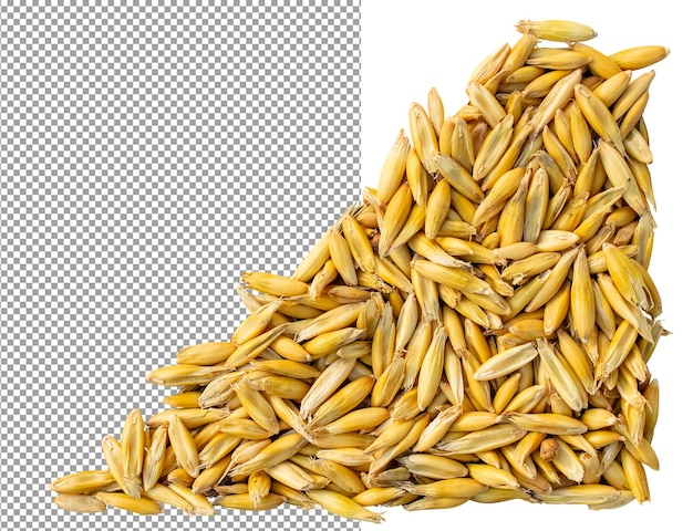 Gouden haverkorrels de basis van een gezond ontbijt en gezonde recepten