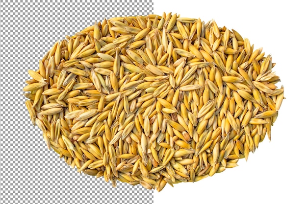 Gouden haverkorrels de basis van een gezond ontbijt en gezonde recepten