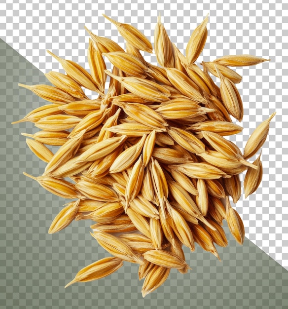 Gouden koren zaden op witte achtergrond uitgeknipt stock png