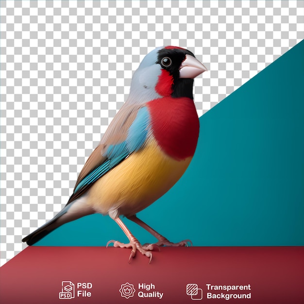 PSD gouldian finch isolated on transparent background include png file