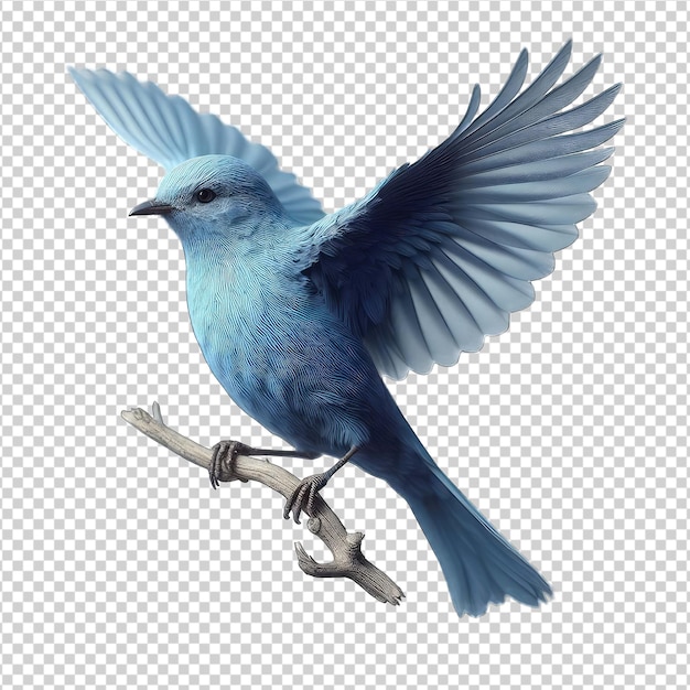 PSD 優雅な鳥のシルエット png