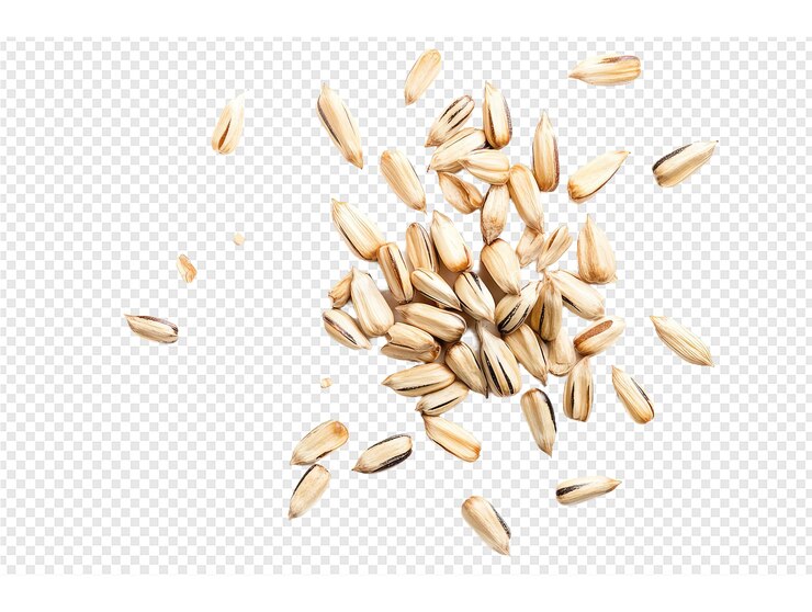 PSD grain on a transparent background