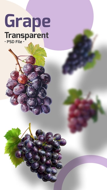 Grape fruits isolated on transparent background
