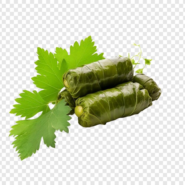 PSD grape leaves isolated on transparent background