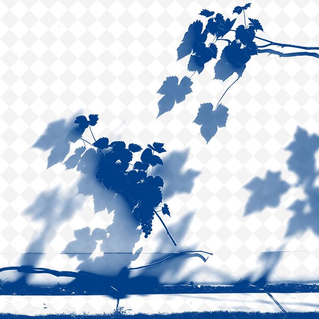grape vine shadows large lobed leaves create expansive patterns curved organic forms evo