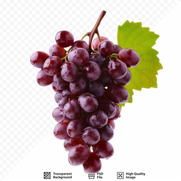 Виноград на белом изолированном фоне