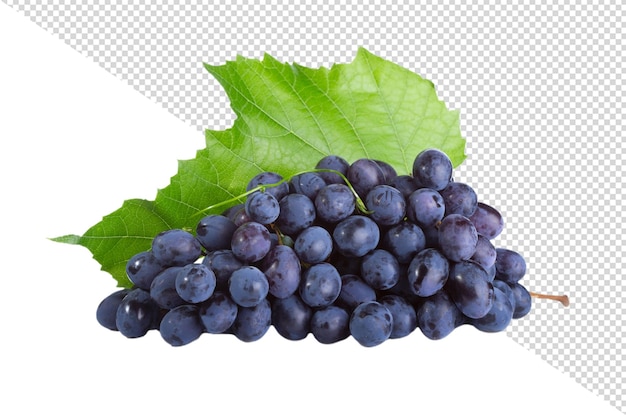 Grapes png