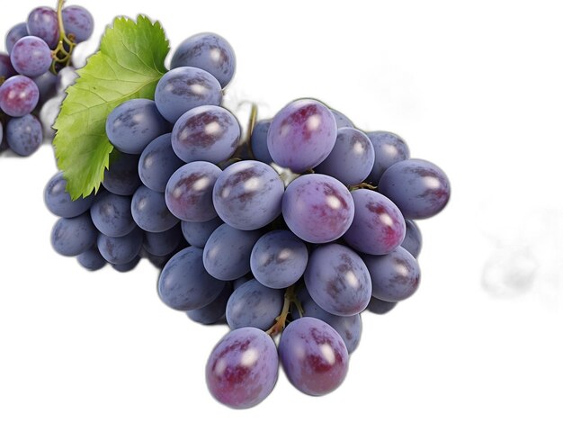 PSD grapes psd on a white background