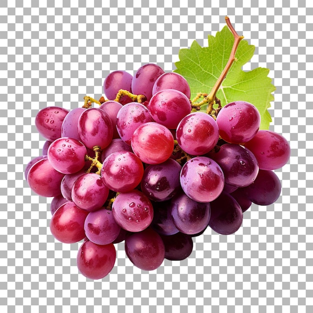 Grapes on transparent background