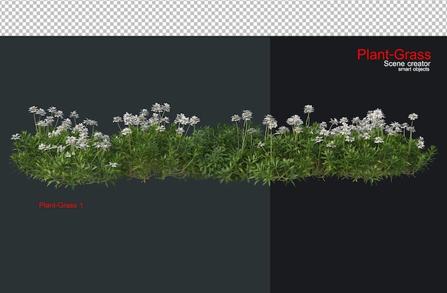 Gras en een grote verscheidenheid aan planten