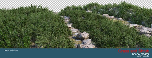 gras en struiken Diverse soorten op de rotsachtige hellingen