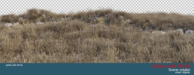 gras en struiken Diverse soorten op de rotsachtige hellingen