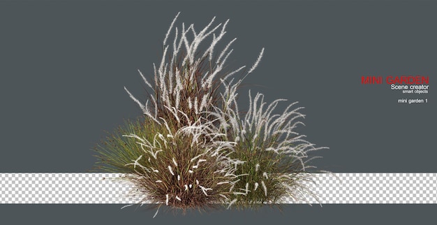 Gras met kleurrijke bloemen op transparante achtergrond