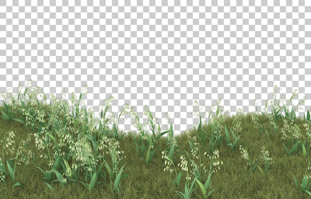 Gras op transparante achtergrond. 3d-rendering - illustratie