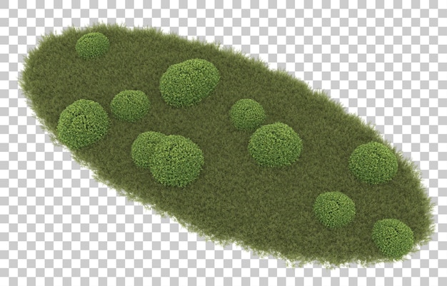 Gras op transparante achtergrond. 3d-rendering - illustratie