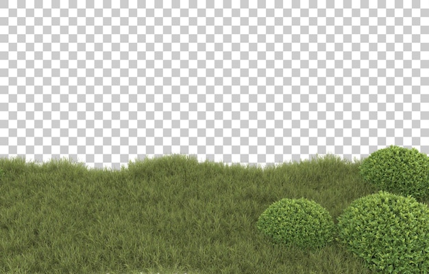 Gras op transparante achtergrond. 3d-rendering - illustratie