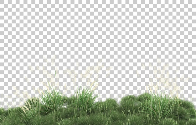 Gras op transparante achtergrond. 3d-rendering - illustratie