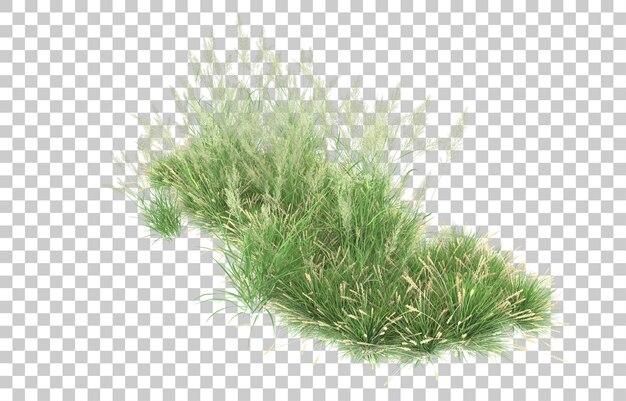 Gras op transparante achtergrond. 3d-rendering - illustratie