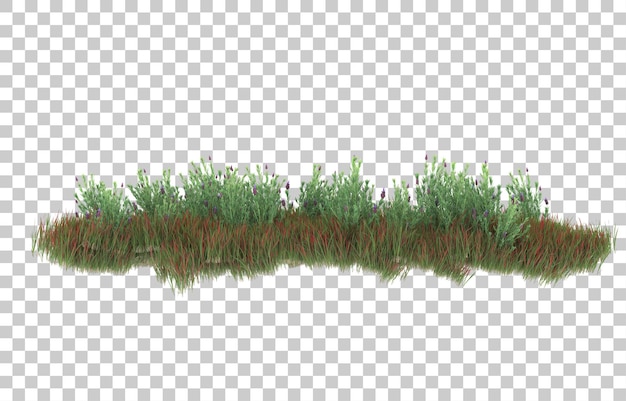 Gras op transparante achtergrond. 3d-rendering - illustratie