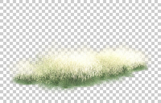 Gras op transparante achtergrond. 3d-rendering - illustratie