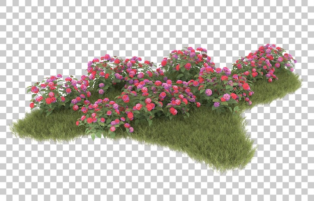 Gras op transparante achtergrond. 3d-rendering - illustratie