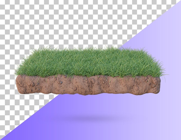 Gras podium land. realistische grasgrond