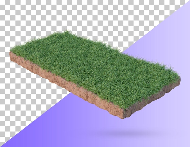 PSD gras podium land. realistische grasgrond