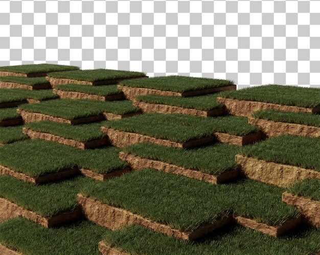 Grasbodem sectie fase 3d-rendering