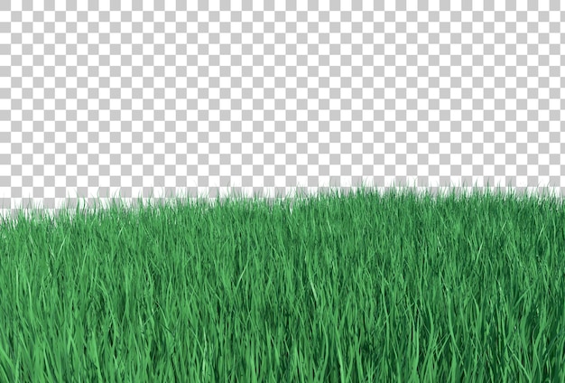 PSD graslandschap 3d-rendering geïsoleerd transparant