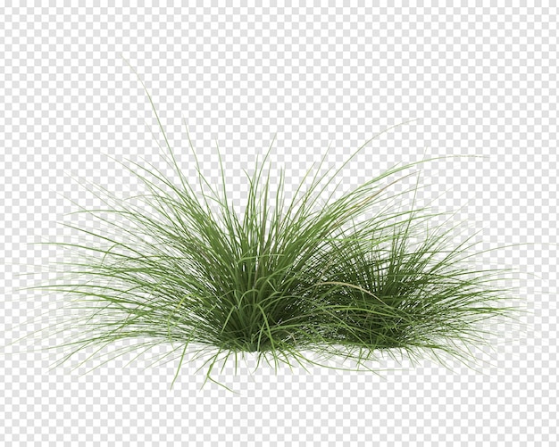 PSD grass in 3d rendering isolated