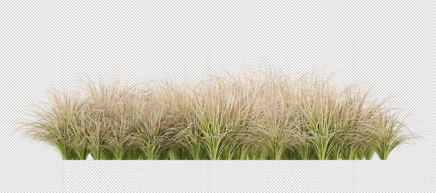 PSD grass in 3d rendering isolated