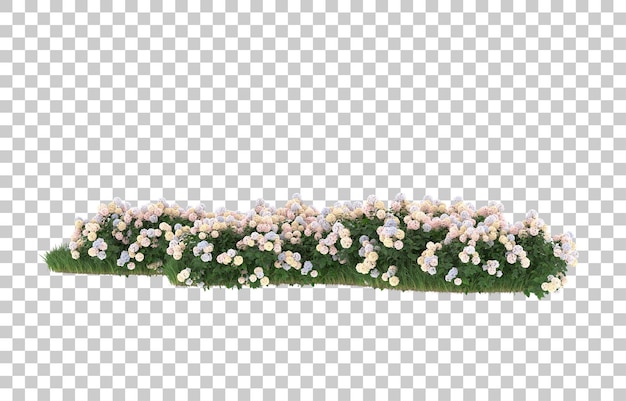 grass and flowers on transparent background. 3d rendering - illustration