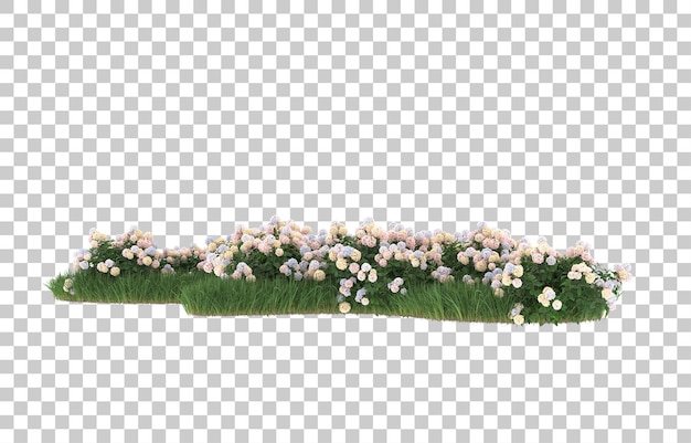 grass and flowers on transparent background. 3d rendering - illustration