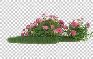 PSD Трава и цветы на прозрачном фоне. 3d-рендеринг - иллюстрация