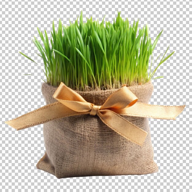 PSD grass bag tied with ribbon