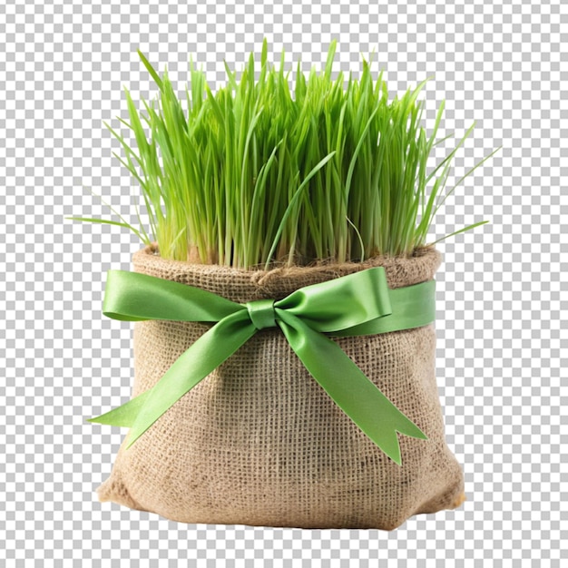 PSD grass bag tied with ribbon