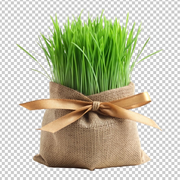 PSD grass bag tied with ribbon