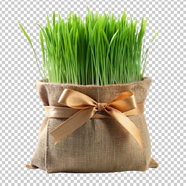 PSD grass bag tied with ribbon