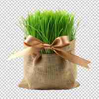 PSD grass bag tied with ribbon