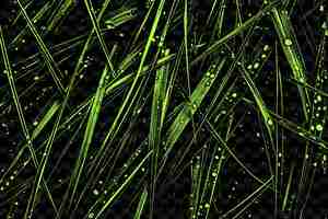 PSD 不規則な垂直と密集した配置の草の刃の質感 pngクリエイティブオーバーレイ背景装飾