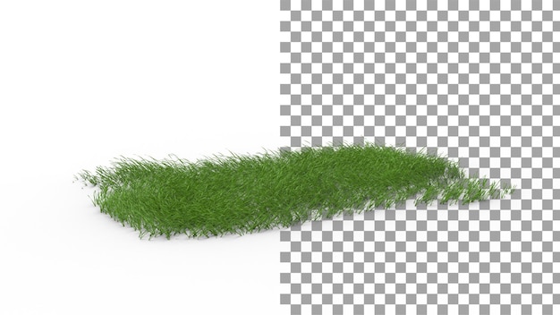 PSD grass carpet with shadow 3d render