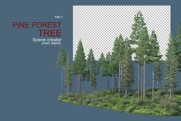 PSD grass in coniferous forests