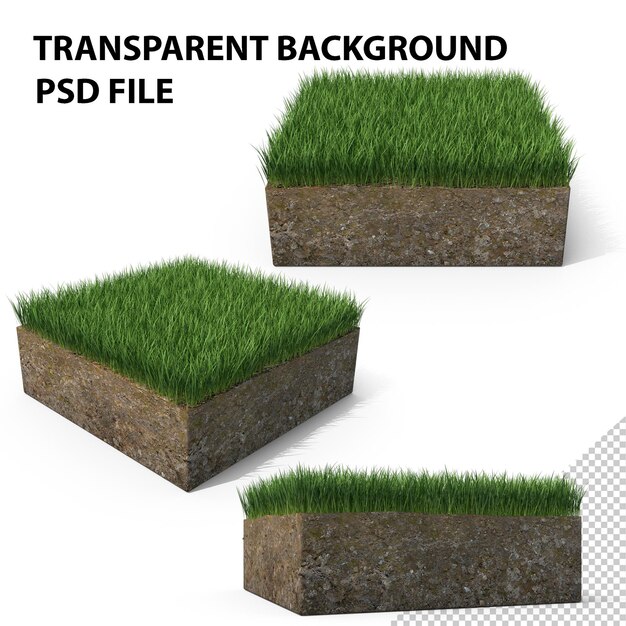 PSD 草の横断面と土 ⁇ のpng