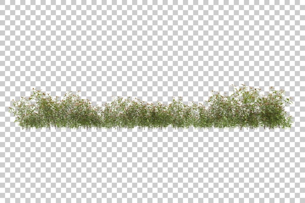 grass field for composition isolated on background with mask 3d rendering illustration