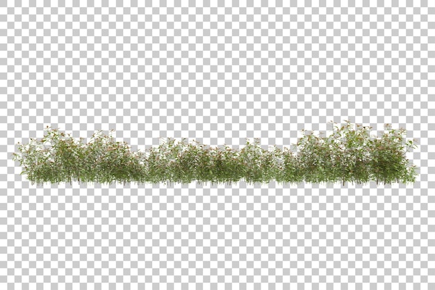 Grass field for composition isolated on background with mask 3d rendering illustration